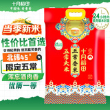 十月稻田 当季新米 五常香米 五常大米 20斤（东北大米 10公斤）