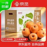 京觅四川高山枇杷 净重4.5斤 单果60g+ 新鲜当季水果生鲜大五星枇杷
