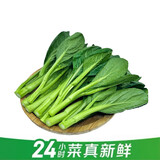 七鲜24小时菜心 300g