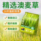 源物派黄金澳麦草澳州燕麦草进口晒干草兔子送礼食用干草500g