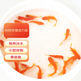 贝冠奇金鱼活体观赏鱼冷水鱼锦鲤小金鱼宠物活鱼包邮草金鱼小型鱼苗 草金鱼6条（3-4cm）