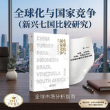 全球化与国家竞争(新兴七国比较研究)