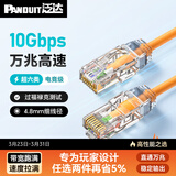 泛达 泛达超六类细网线CAT6A类跳线家用电脑宽带POE监控万兆高速成品线 赤茶橘 10米