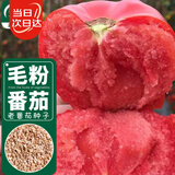 寿禾毛粉沙瓤番茄种子种苗西红柿春夏菜籽 潍育粉冠大番茄种子100粒