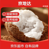 京地达山东牛奶小芋头净重5斤中果单果25g+细腻粉糯源头直发包邮