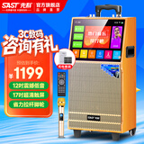先科（SAST）家庭ktv音响套装广场舞音响带显示屏家用点歌机功放一体机户外卡拉ok唱歌全套设备舞蹈播放器话筒 【1303土豪金】12吋低音17吋屏+单话筒