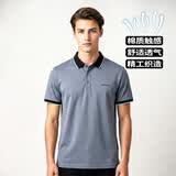 夏冰妮T恤男短袖棉质夏季翻领体恤休闲透气男士短袖polot恤打底衫短T潮 深灰 L