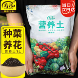 寿禾 营养土果蔬育苗泥炭通用型养花种菜多肉盆栽种植土壤 营养土3L