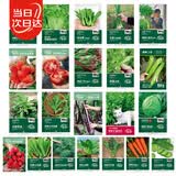 寿禾 蔬菜种子大全春四季香菜生菜西红柿辣椒草莓籽 22种蔬菜种子大全
