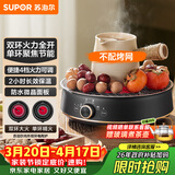 苏泊尔（SUPOR）迷你电陶炉 煮茶器煮茶炉煮茶壶 养生围炉煮茶泡茶办公家用不挑器具SW-DTL05