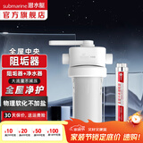 潜水艇（Submarine）全屋中央阻垢器 净水器不用电无废水前置过滤器 物理阻垢改善水质 阻垢器WR206+前置净水器