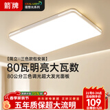 ARROW箭牌 大客厅灯卧室灯具吸顶灯具北欧餐厅灯阳台