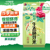 十月稻田 当季新米 胚芽米 3斤 东北大米 杂粮伴侣 粥米