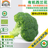 彩虹雨北京农场 有机西兰花350g 欧盟认证有机蔬菜自有农场新鲜直发