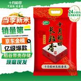 十月稻田 当季新米 长粒香大米 20斤（东北大米 香米 10公斤）