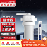 潜水艇（Submarine）全屋中央阻垢器 净水器不用电无废水前置过滤器 物理阻垢改善水质 阻垢器WR306+前置净水器