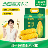 十月稻田 四平黄甜糯玉米 8根 3.52斤 东北黏玉米棒 真空包装 非转基因