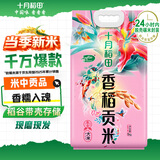 十月稻田 十月稻田 当季新米 香稻贡米 东北大米 5kg（香米 粳米十斤）