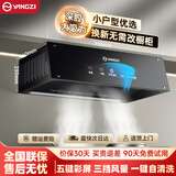 扬子抽油烟机家用大吸力吸排油烟机小户型小尺寸老式中式油烟机自动清洗厨房出租房自用壁挂脱排油烟机 不包安装丨彩屏+铜制电机+自动清洗+挥手