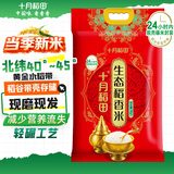 十月稻田 当季新米 稻香米 20斤（东北大米 香米 10公斤/二十斤）