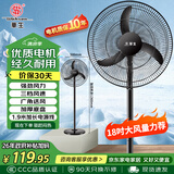 华生（Wahson）电风扇家用落地扇交流定频电扇立式工业扇18吋牛角扇低噪大风量宿舍办公车间商用强力风扇FS-D1806