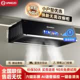 扬子抽油烟机家用大吸力吸排油烟机小户型小尺寸老式中式油烟机自动清洗厨房出租房自用壁挂脱排油烟机 上门安装丨彩屏语音+铜制电机+挥手+自清洁