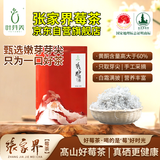 叶芽美春茶正宗张家界野生芽尖莓茶100克特级三高山茶芽尖霉茶富硒养生