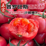 京地达山东普罗旺斯番茄净重3斤中果单果125g+沙瓤老味道源头直发包邮