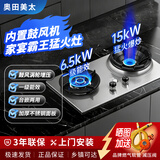 奥田美太新款家宴霸王猛火灶15KW燃气灶双灶带鼓风机大火力家用商用不锈钢台式嵌入式天然气灶台液化气灶具 天然气12T 左15KW带鼓风机霸王猛火灶 【插电款】