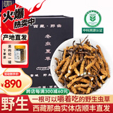 东仔【西藏那曲】野生冬虫夏草高海拔断草送长辈中老年虫草礼盒滋补品 【那曲野生】小号断草-自用滋补5克