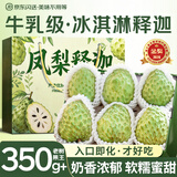 沐小七果蔬 凤梨牛奶释迦果【JD-多地次日达】广西番荔枝当季新鲜水果礼盒 3斤装【双人爽吃-狠划算】净2.5斤 20年老树 巨无霸【单果约250g+】