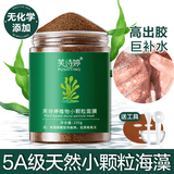 芙诗婷海藻面膜纯小颗粒天然补水提亮肤色细毛孔美容院专用孕敏可用免洗 【共250g小颗粒海藻】送工具 250g/瓶