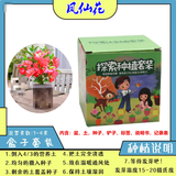 花友秀凤仙花种子学生实验套餐易种播种花卉孑指甲花种籽阳台盆栽定制