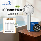 Aroma Sense过滤手持花洒喷头增压沐浴花洒韩国进口活性碳除氯净水过滤 PRC高级银标配+碳盒