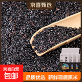 精选黑米 粗粮东北杂粮五谷杂粮量粥米搭配 黑米500g*3袋