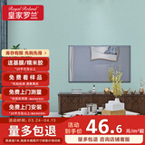 皇家罗兰 墙布洒金环保无缝 包施工 客厅卧室全屋壁布 沙发背景墙壁纸墙纸 (免费安装)HJ148-200-02天镜