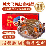 红膏呛蟹整只咸蟹炝蟹即食母蟹宁波特产舟山梭子蟹糊螃蟹生腌蟹 单只净重4-6两/只  6只 【飞机红膏呛蟹礼盒】
