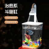 宠街坊斗鱼缸桌面家用创意造景装饰带灯迷你高透PET懒人金鱼缸
