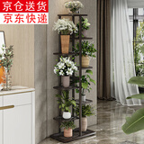 索尔诺多层折叠落地式铁艺花架 室内阳台客厅庭院展示架简约多肉架 铜金花h919（9盆升级版）