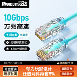 泛达 泛达超六类细网线CAT6A类跳线家用电脑宽带POE监控万兆高速成品线 冰湖蓝 10米