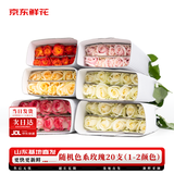 京东鲜花玫瑰花随机颜色20枝(1-2种颜色)40cm基地鲜切花生活花束源头直发