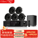 山水（SANSUI）T5 吸顶音响 5.1家庭影院 7.1声道吊顶喇叭音箱套装 无损音质 吸顶喇叭 吊顶音响 T5【5.1功放+6.5喇叭*5+8吋炮】