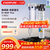 爱惠浦（Everpure） 家用矿物质厨下净水器 大流量0废水直饮 1.8L/分钟3500L处理量 EF-900P Plus