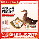 杨博士皖南散养麻鸭2斤*1只+鲜鸭蛋30枚 净重5.6斤 老鸭土鸭肉源头直发