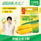 十月稻田 黄甜糯玉米 8根 3.52斤 真空包装 东北粘玉米棒 低脂早餐