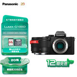 松下（Panasonic）【官方直营】G100D微单 学生入门 数码照相机 小巧便携 vlog拍摄 自拍翻转屏 M4/3画幅 G100D丨【25mmF1.7】白盒定焦套装