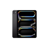 Apple/苹果 iPad Pro 11英寸 M4芯片 2024年新款平板电脑(2T WLAN版/纳米纹理玻璃/MWR83CH/A)深空黑色