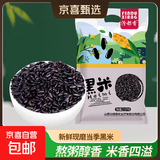 精选黑米黑香米 粗粮五谷杂粮粥米搭档大米伴侣黑米粥 黑米5斤