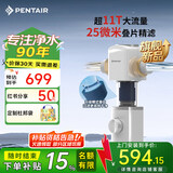 滨特尔（pentair）前置过滤器大通量家用全屋自来水管道过滤器大流量水驱涡轮+反冲洗刮洗净水器 【新品升级】L250-仿鳃叠片-超11T