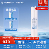 滨特尔（pentair） 大白瓶滤芯10寸 20寸大蓝瓶大流量大胖瓶通用滤芯 20寸软化树脂滤芯